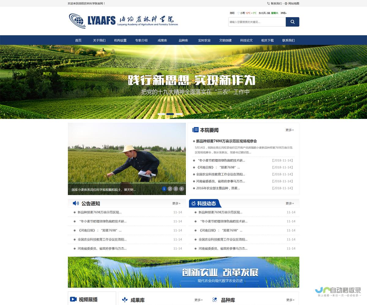洛阳网站建设：打造您在洛阳市场的数字名片，提升品牌形象与业绩