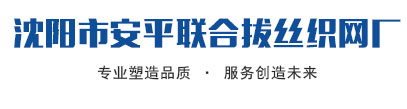 沈阳菱形不锈钢输送网带|沈阳电焊网钢板护栏网|沈阳矿筛网镀锌网沈阳不锈钢网-安平联合